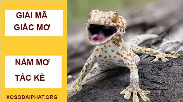 Cá trắng trong giấc mơ và con số may mắn