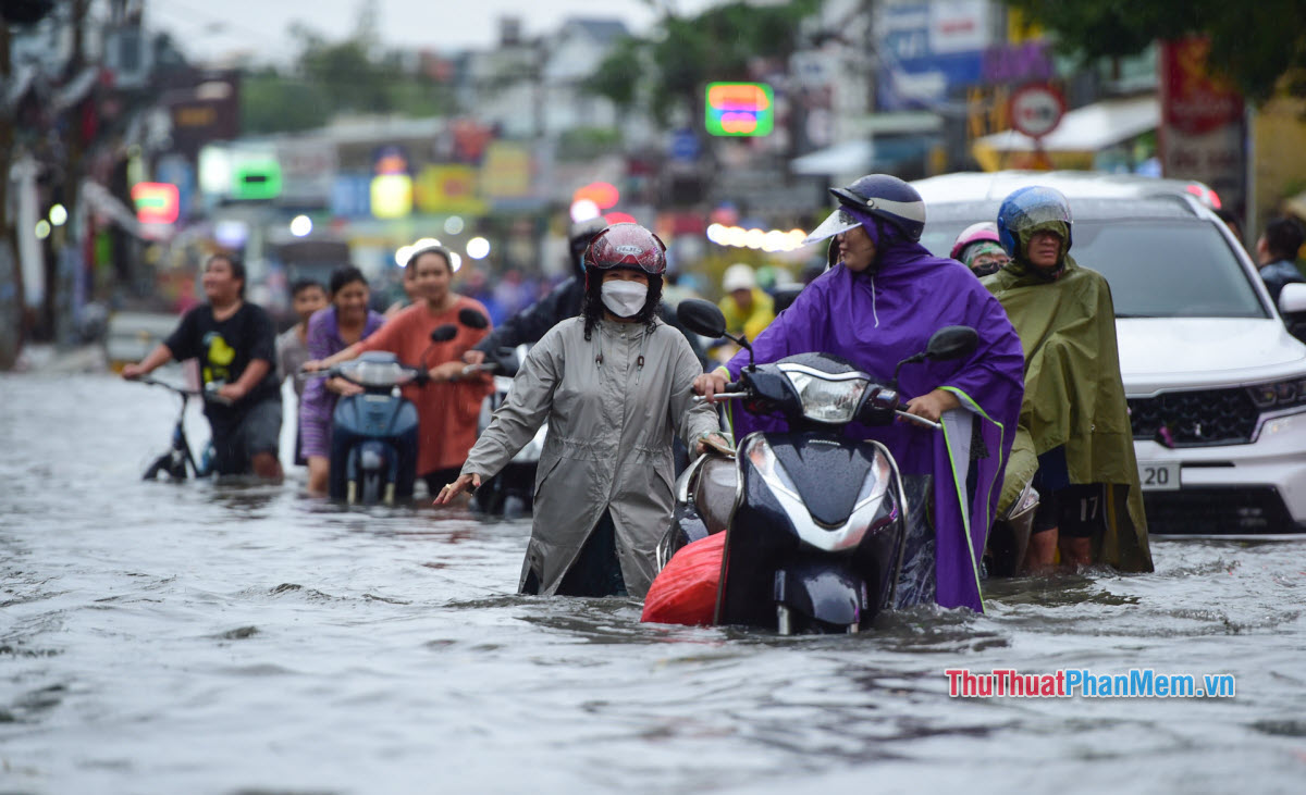 Nước ngập tràn đường phố trong giấc mơ