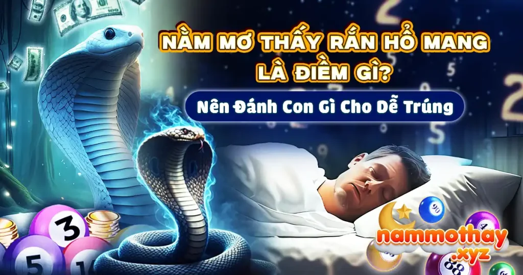 Rắn hổ mang xuất hiện trong giấc mơ ban đêm