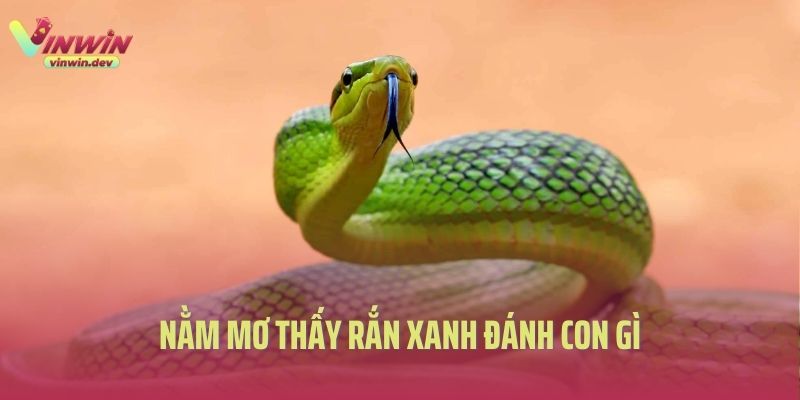Rắn xanh xuất hiện trong giấc mơ đánh con gì