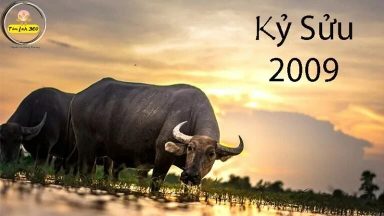 Bé sinh năm 2009 tuổi Kỷ Sửu thông minh