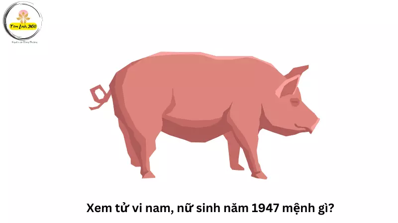 Nữ sinh năm 1947 mặc áo dài truyền thống