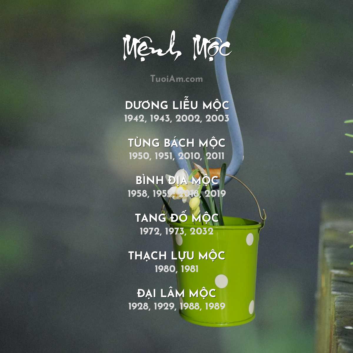 Người mệnh Mộc chọn nghề phù hợp phát triển sự nghiệp