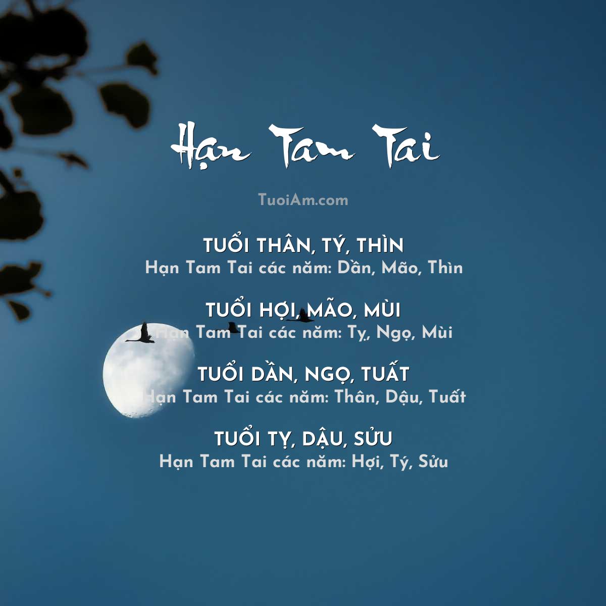 Giải thích tuổi phạm tam tai trong phong thủy