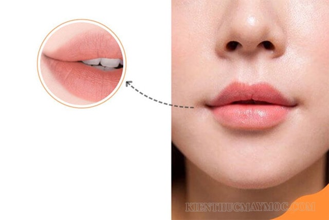 Ảnh tổng thể ngũ quan trên khuôn mặt