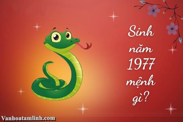 Nữ sinh tuổi Đinh Tỵ 1977 tươi cười bên hoa phượng