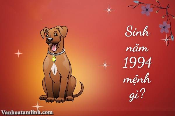 Chiêm tinh Vệ Đà cho người tuổi Giáp Tuất 1994