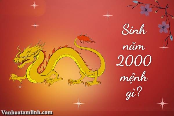 Bản đồ chiêm tinh Vệ Đà cho người sinh năm 2000