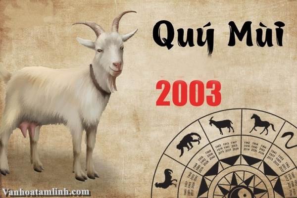 Nữ sinh 2003 mặc áo dài trắng tươi cười
