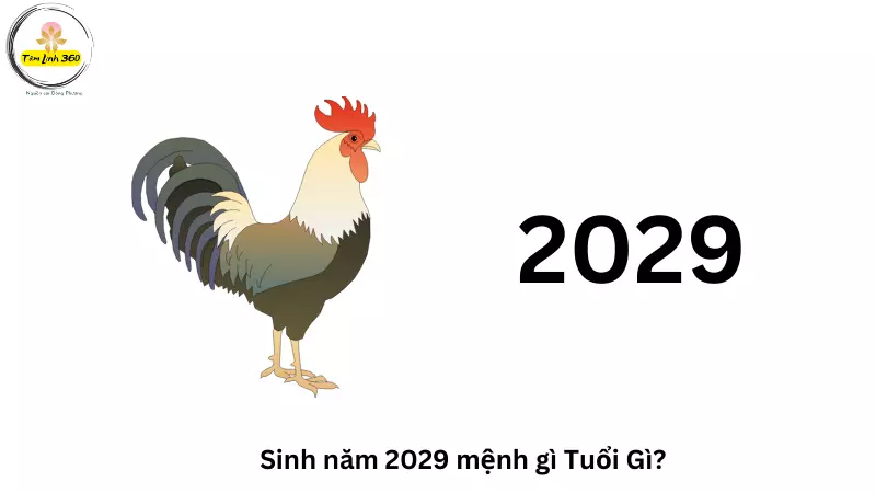 Nữ sinh 2029 mặc đồng phục tươi cười đến trường