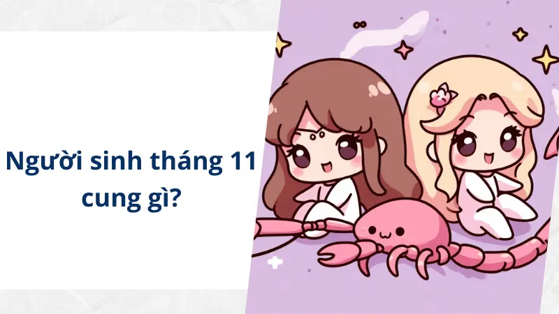 Người sinh tháng 11 thuộc cung hoàng đạo nào