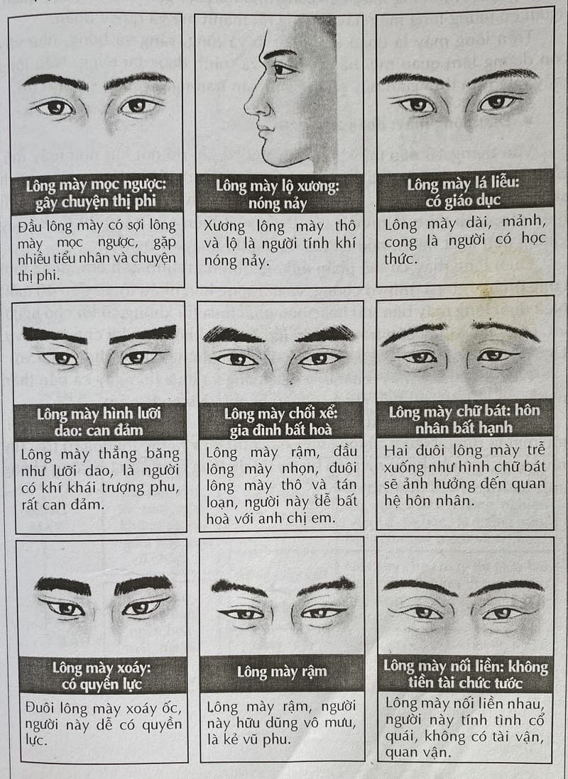 Vai trò của môi trong đánh giá tướng số