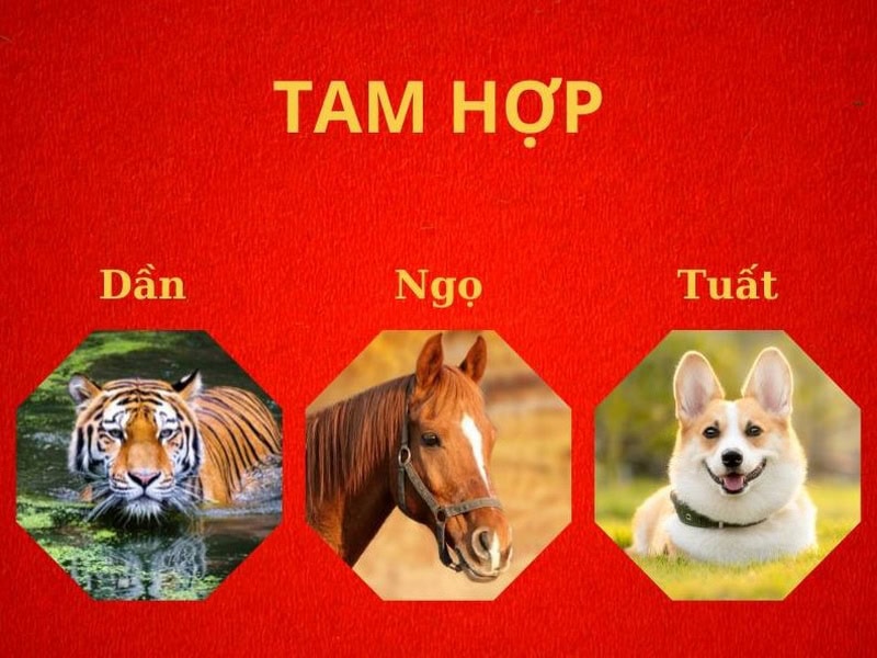 Cách hoá giải tam tai 2026: Cẩm nang thực chiến giúp gia đình bình an vượt hạn Cách hóa giải tam tai năm 2026 hiệu quả