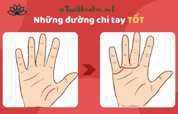 Đường chỉ tay ngang trên lòng bàn tay