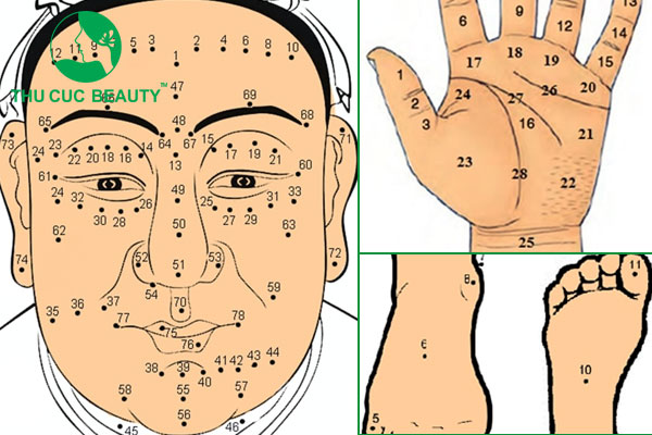 Nốt ruồi phong thủy ở các vùng trên mặt