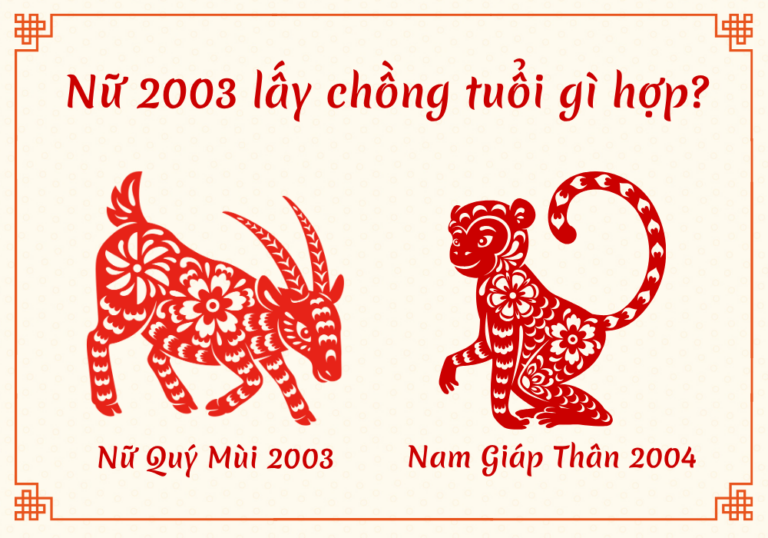 Chồng 2003 vợ 2004 nên sinh con năm nào hợp