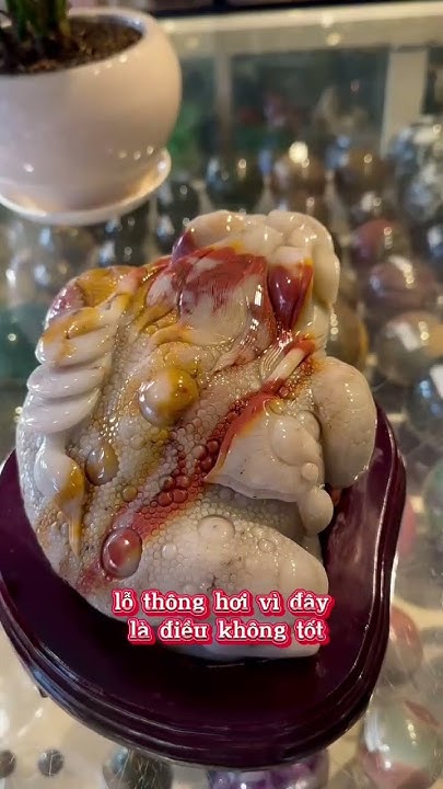 Cách đặt thiềm thừ thu hút tài lộc đúng phong thủy