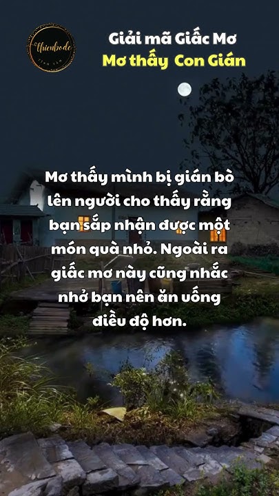 Gián xuất hiện trong giấc mơ ban đêm