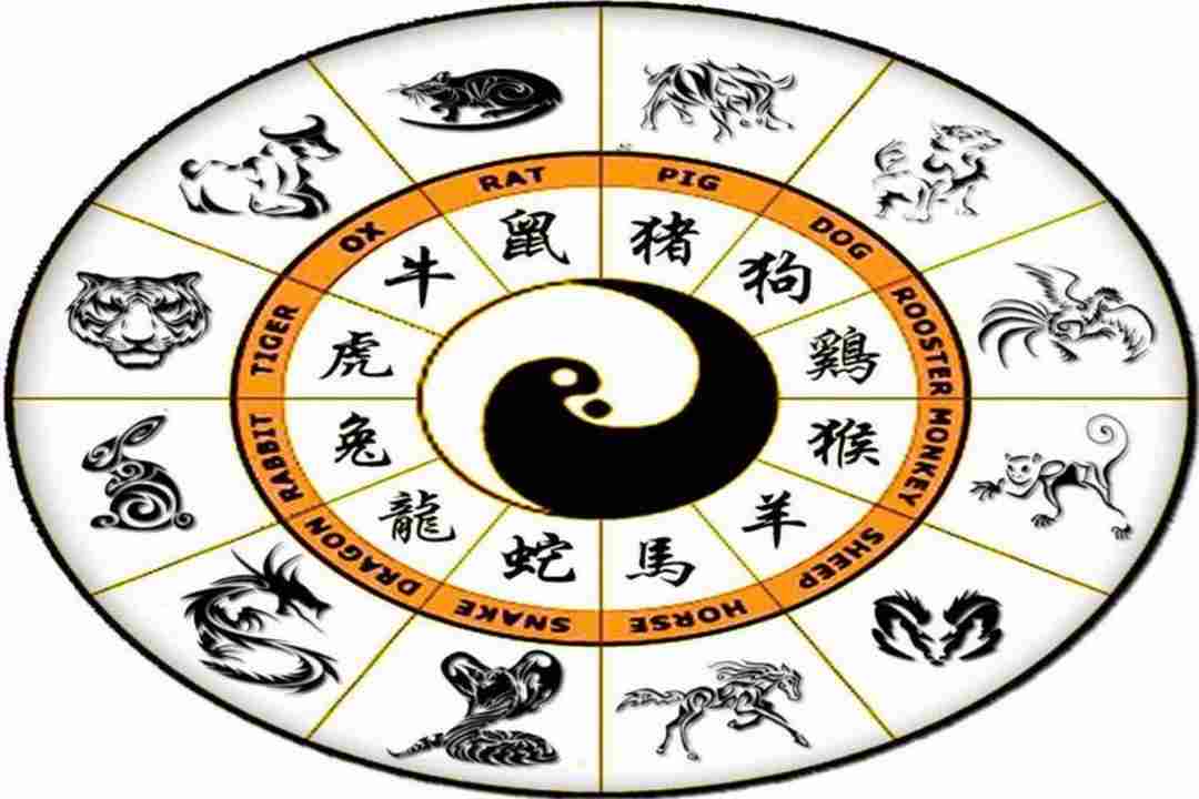 Sự khác biệt giữa tử vi và phong thủy