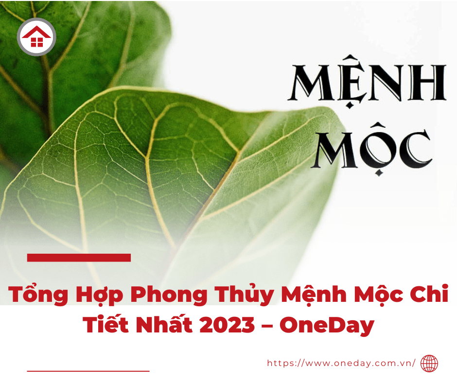 Cây phong thủy hợp mệnh Mộc trang trí phòng khách