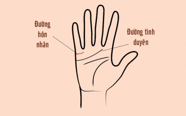 Bàn tay nam giới khi xem tướng tay