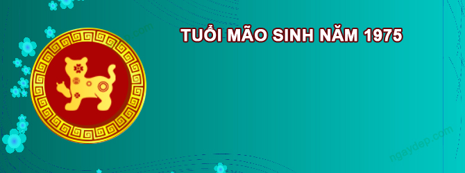 Tử vi Ất Mão 1975 nữ mạng năm 2026 chi tiết