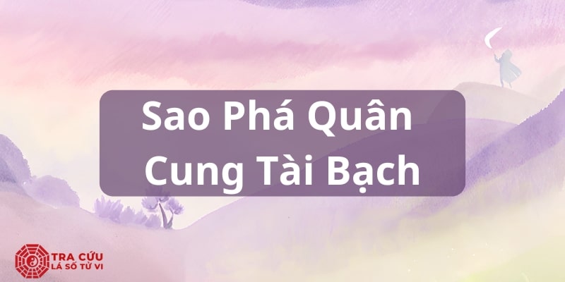 Biểu đồ cung Tài Bạch trong tử vi chi tiết