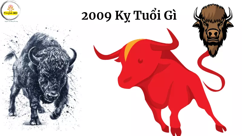 Bé sinh năm 2009 tuổi Kỷ Sửu thông minh