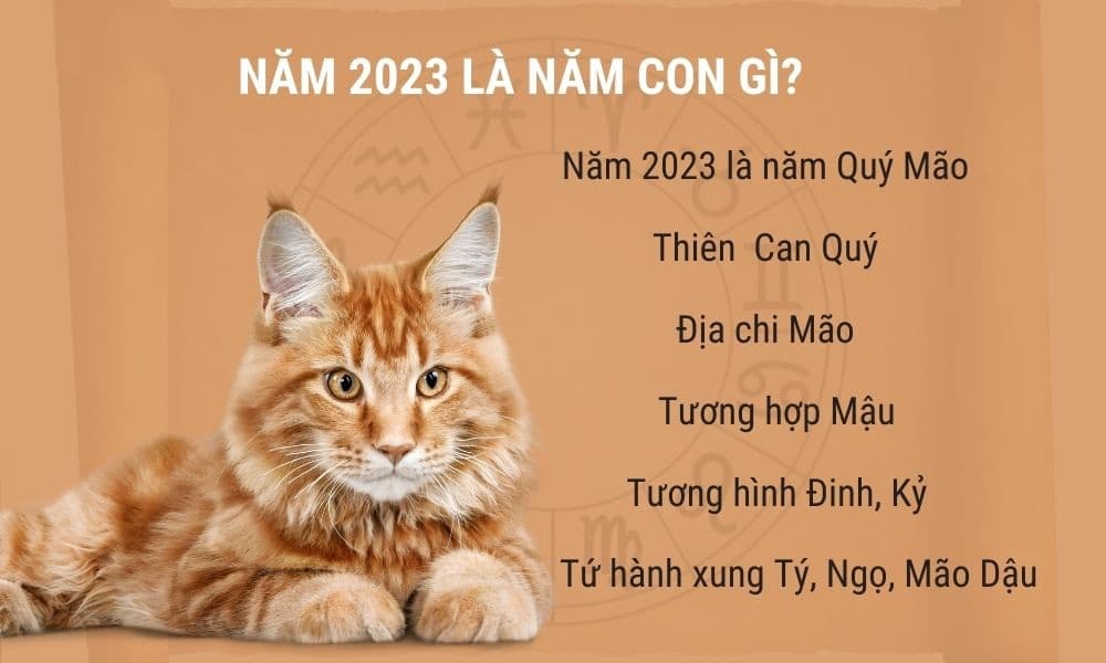Đặt tên hay cho bé sinh năm 2023