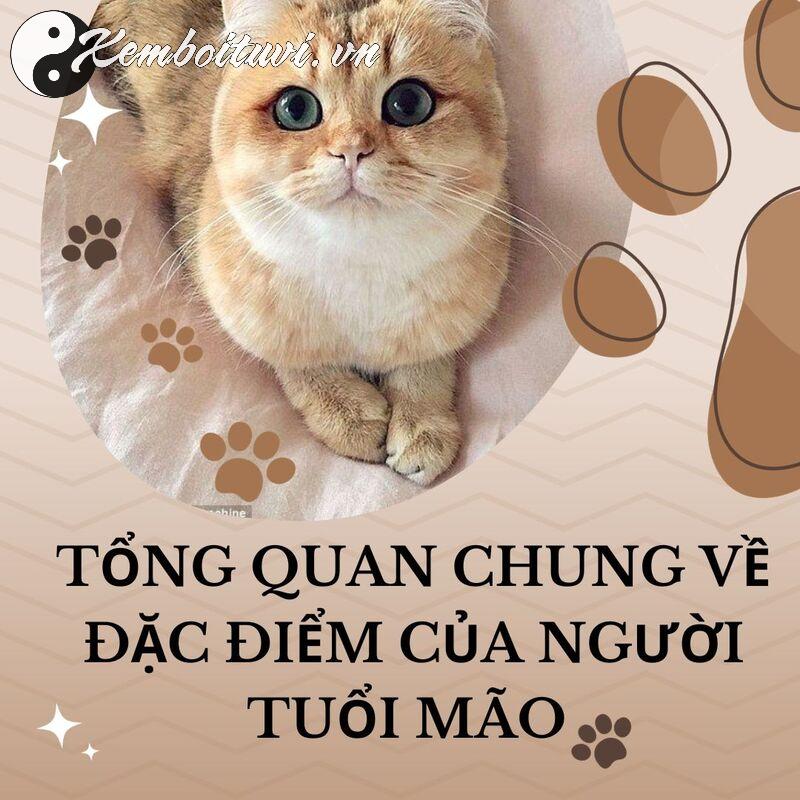 Nữ sinh năm 1951 mệnh gì? Hợp tuổi, hợp màu, hợp hướng & chọn chồng chuẩn phong thủy Nữ sinh năm 1951 mặc áo dài truyền thống