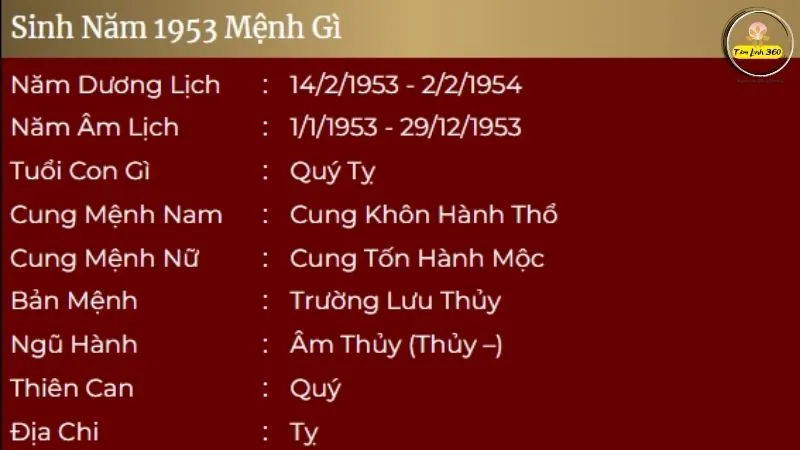 Nữ sinh năm 1953 mặc áo dài truyền thống