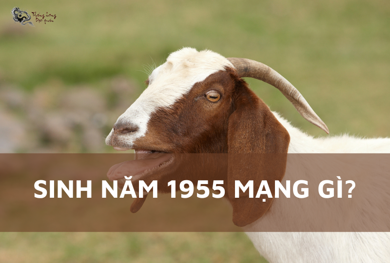 Nữ sinh năm 1955 mặc áo dài truyền thống
