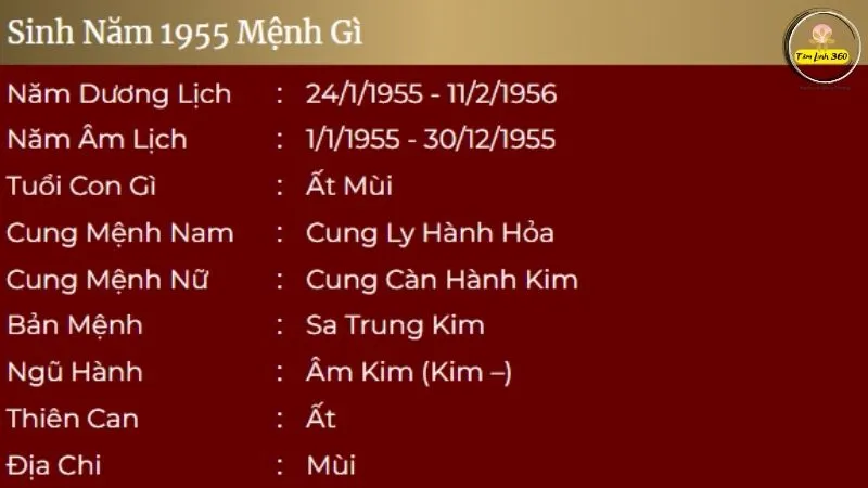 Nữ sinh năm 1955 mặc áo dài truyền thống