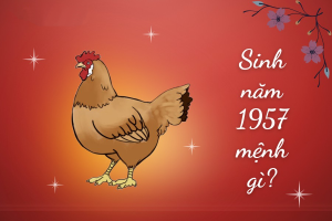Nữ sinh năm 1957 mặc áo dài truyền thống
