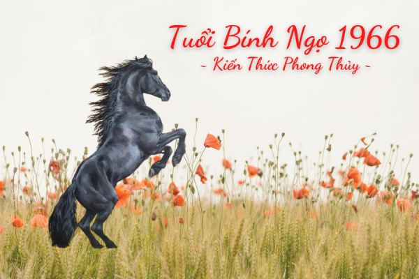 Nữ sinh năm 1963 trong tà áo dài trắng