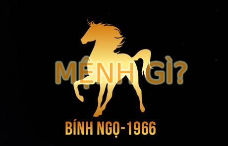 Nữ sinh năm 1966 áo dài truyền thống Việt Nam