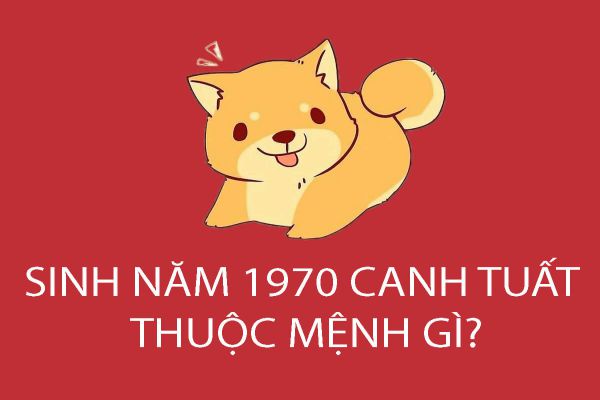 Nữ sinh năm 1970 mặc áo dài truyền thống đẹp