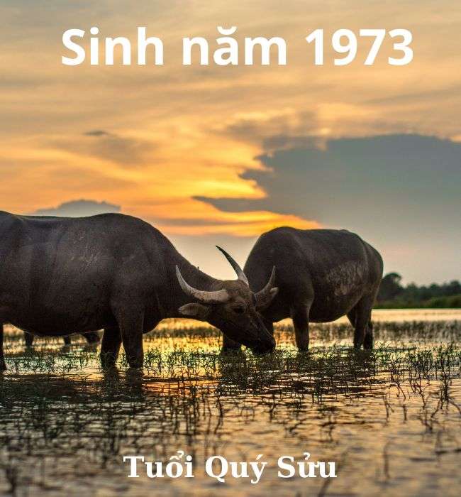 Nữ sinh năm 1973 mặc áo dài truyền thống