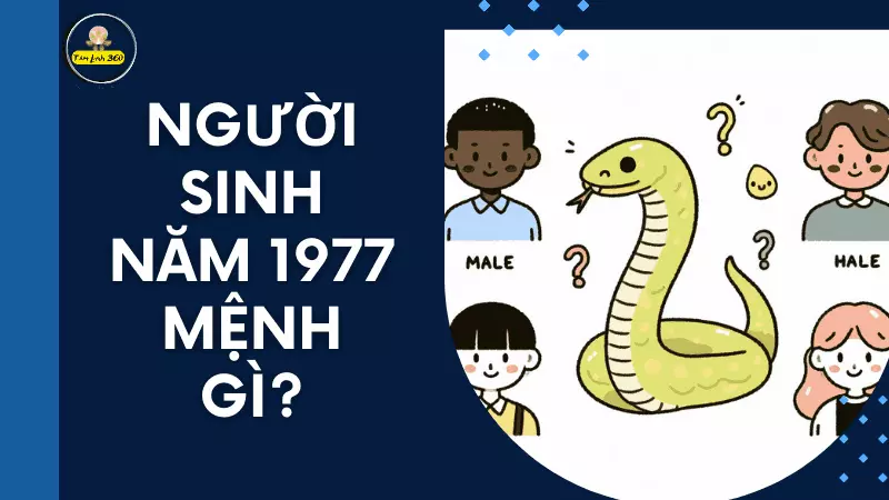 Nữ sinh tuổi Đinh Tỵ 1977 tươi cười bên hoa phượng