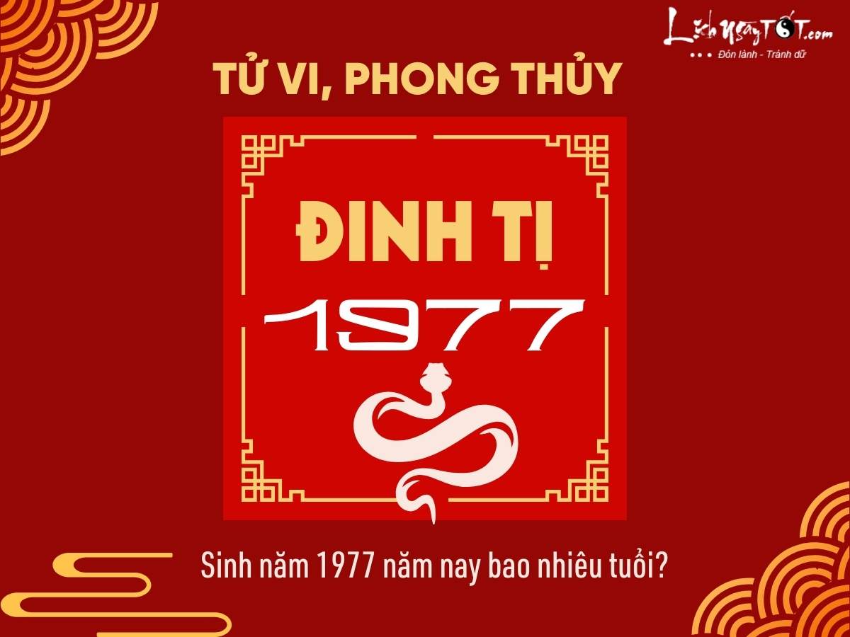 Tử vi Đinh Tỵ 1977 nữ mạng năm 2025
