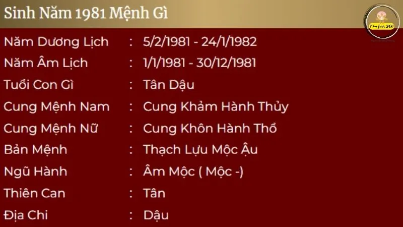 Nữ sinh 1981 mặc áo dài truyền thống Việt Nam
