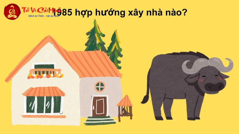 Nữ sinh tuổi 1985 xinh đẹp duyên dáng