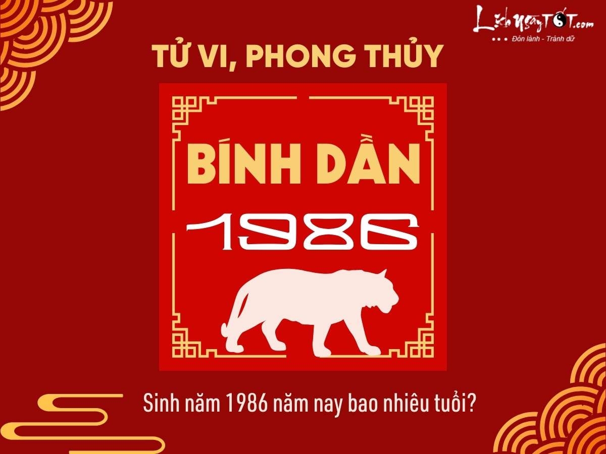 Người sinh năm 1938 sẽ bao nhiêu tuổi vào năm 2026