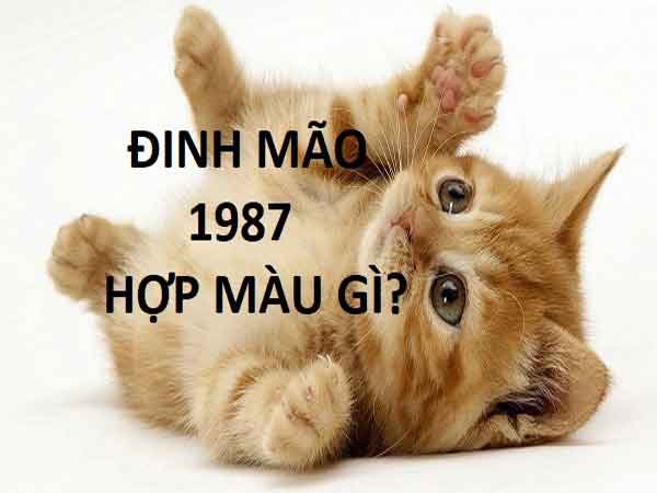 Nữ sinh 1987 xinh đẹp trong tà áo dài trắng