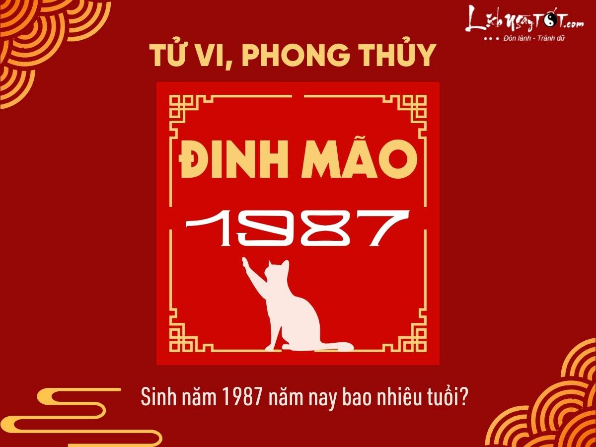 Chồng 1987 vợ 1986 sinh con năm nào hợp nhất