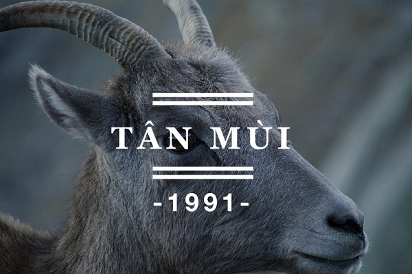 Bản đồ chiêm tinh Vệ Đà cho người sinh năm 1991