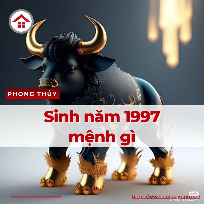 Nữ sinh 1997 tươi cười trong tà áo dài trắng