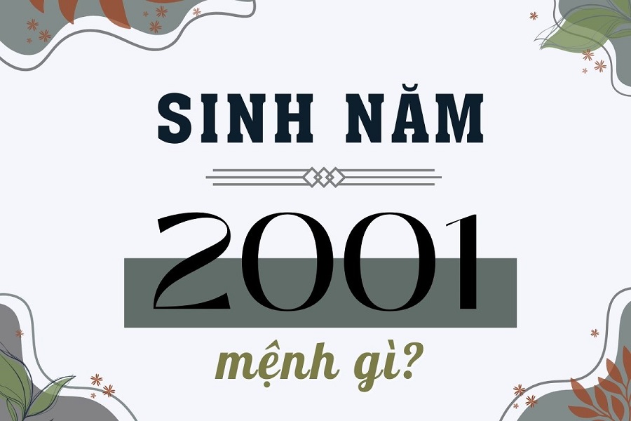 Nữ sinh 2001 tươi cười trong tà áo dài trắng