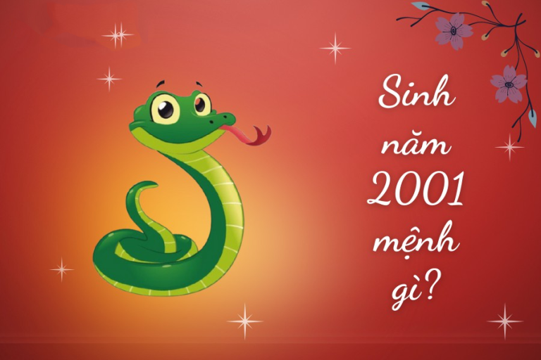 Bản đồ chiêm tinh Vệ Đà cho người sinh năm 2001