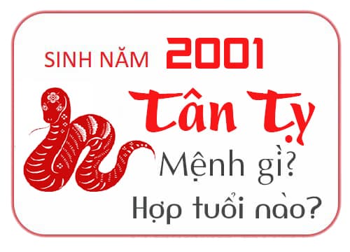 Nữ sinh 2001 tươi cười trong tà áo dài trắng